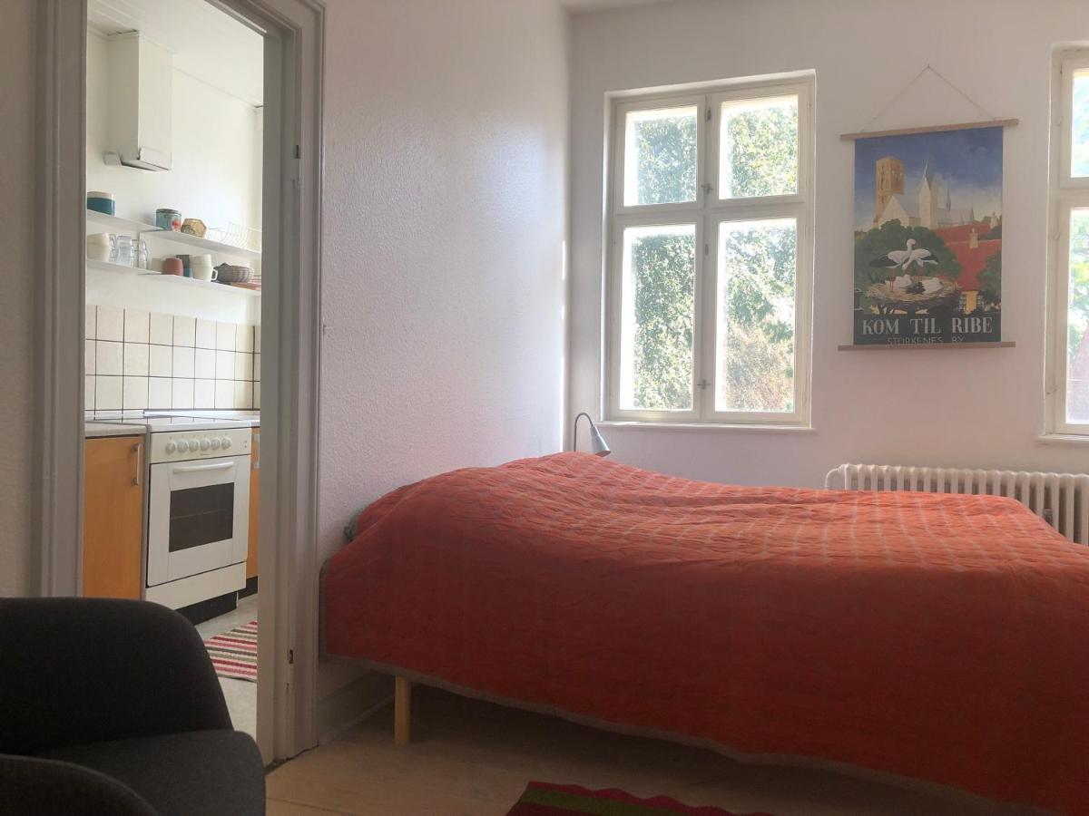 Apartment I Hjertet Af *